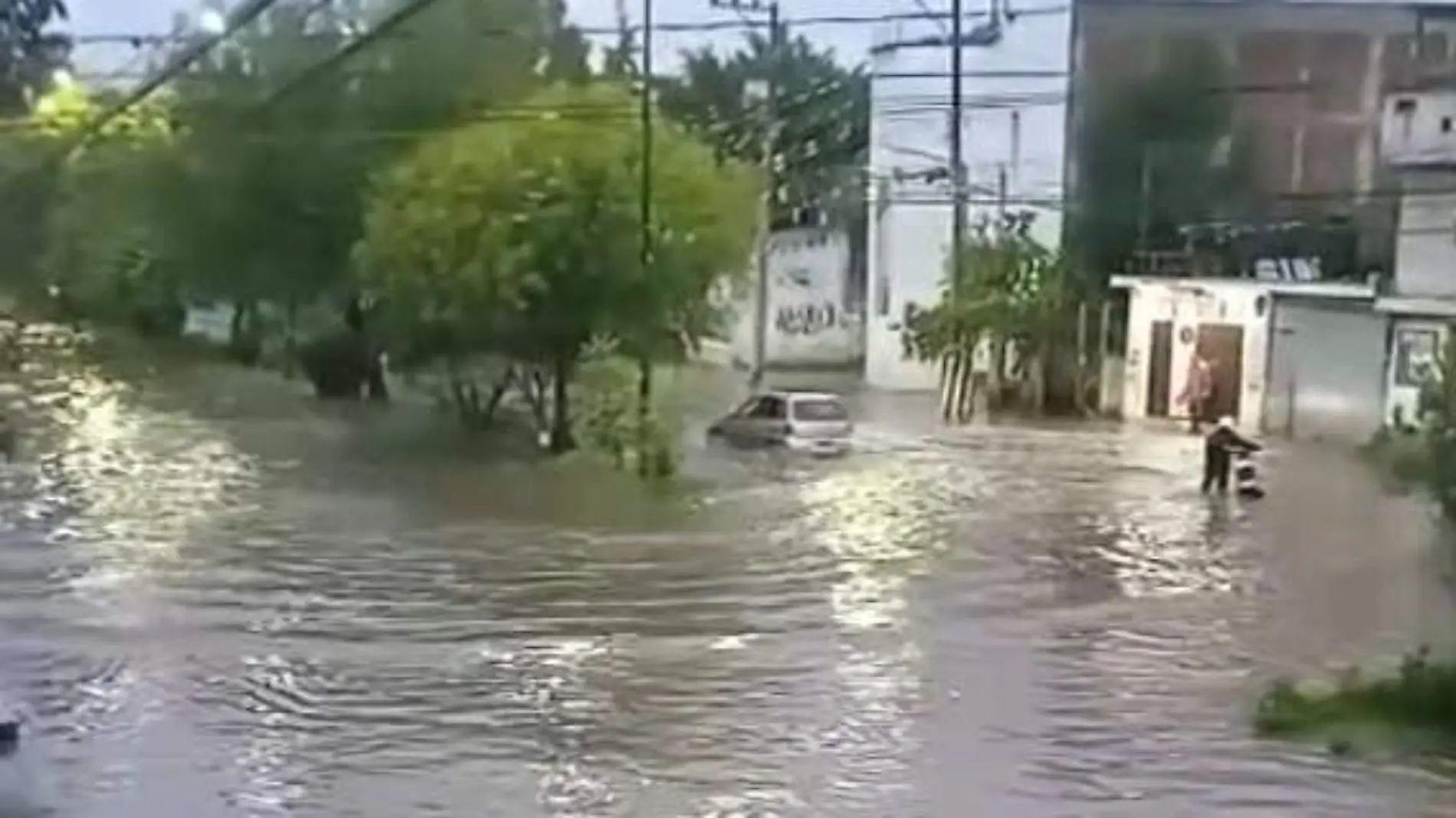 Captura de pantalla 2024-08-18 193307